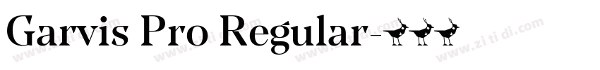 Garvis Pro Regular字体转换 Garvis Pro Regular字体转换